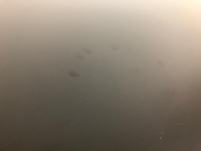 天板はよこれが目立つ