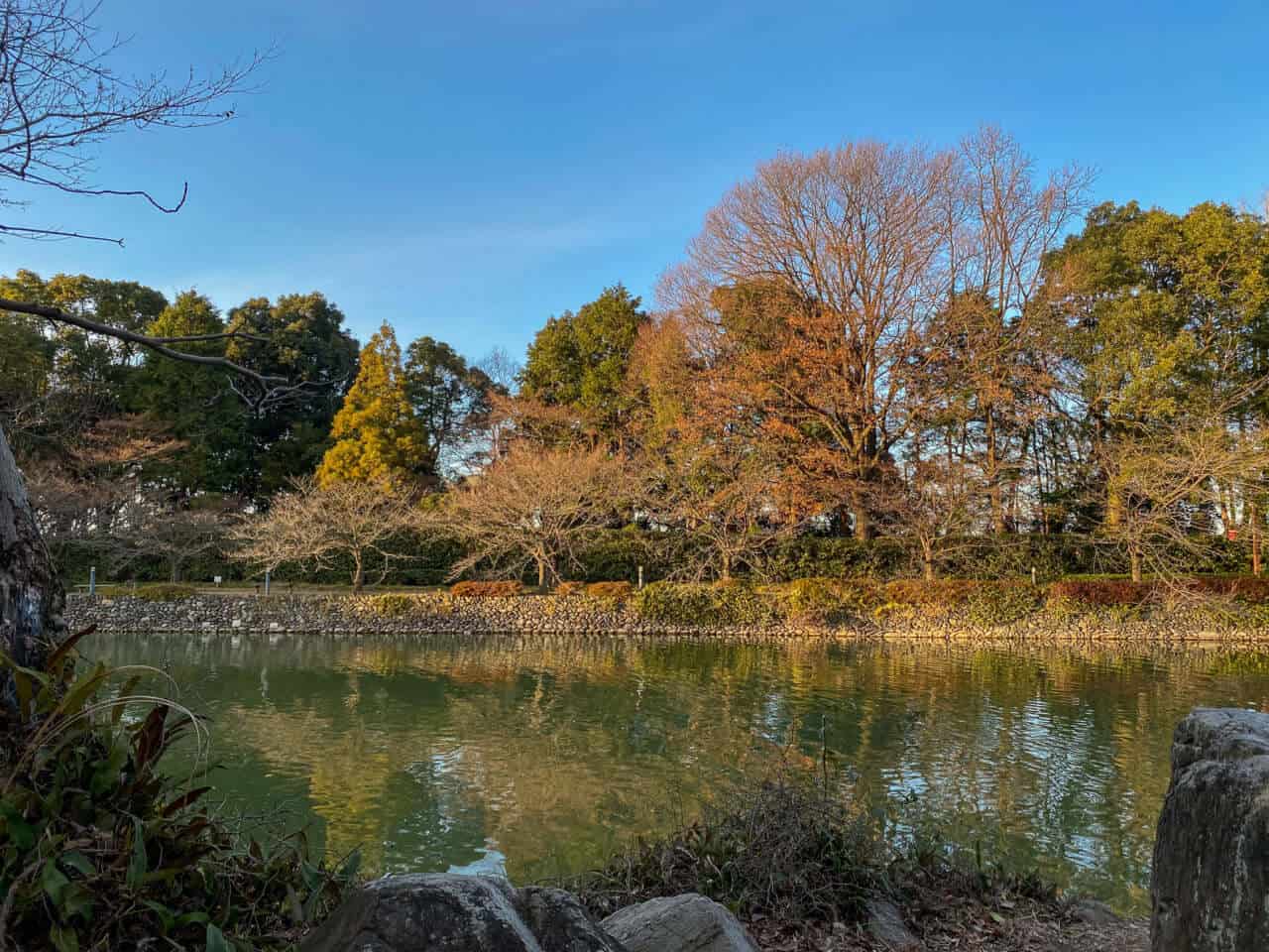 iPhone11 Pro写真