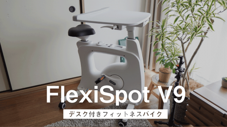 FLEXISPOT V9
